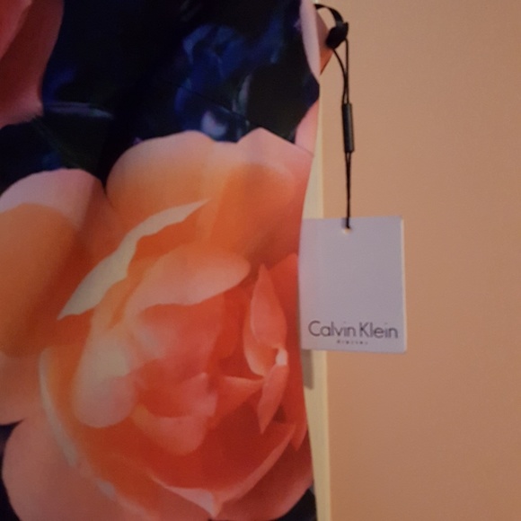 Calvin Klein Dress - Picture 4 of 5
